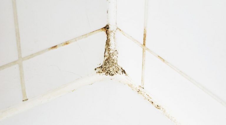 bathroom mould