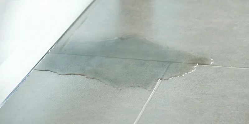 Puddle On Floor